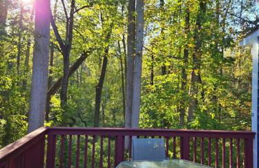 Charming Retreat at Silver Spring - Foto 4