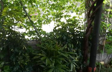 PERGAR DESCANSO-15 minutos Playa-Puerto-Motril Ferry - Foto 34