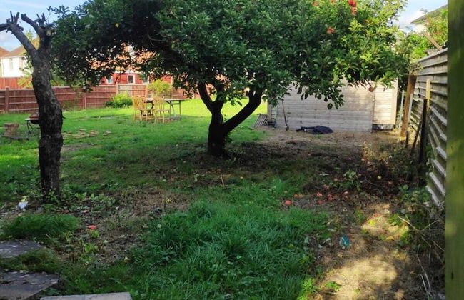 Worcester Town Centre Home & Garden - Foto 19