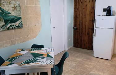 Ville Scelsa - Foto 9