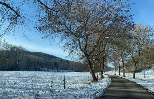 gemütliches Einfamilienhaus in Gera mit 3 Schlafzimmern mit Garten und Parkplatz - Foto 24