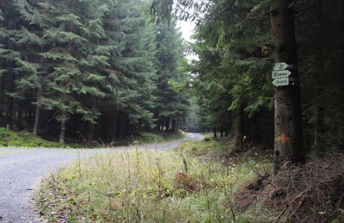 ZumSeehörnchen Haus Schmetterling - Foto 21