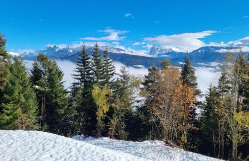 Alone in Chalet with view on Dolomites - Foto 37