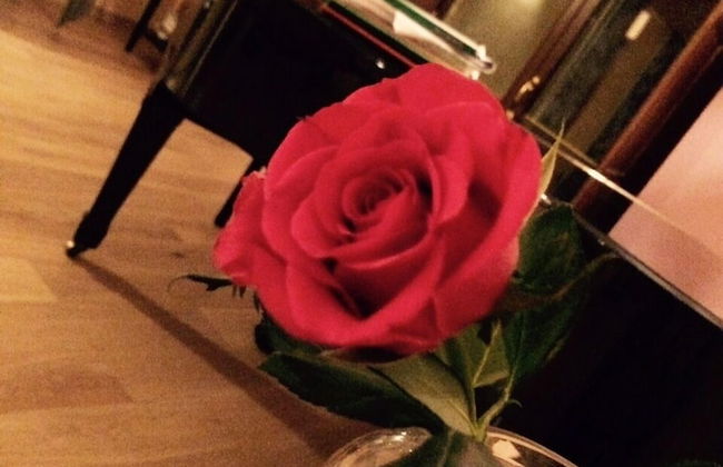 Bio Agriturismo Valle dei Calanchi - Foto 45