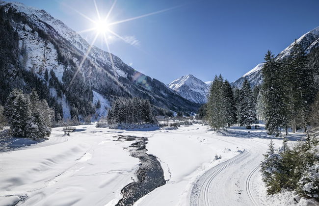 Casa Melissa - Photo 26