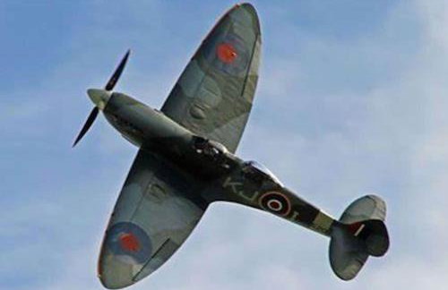 The Green Bus and the lodge - Foto 16