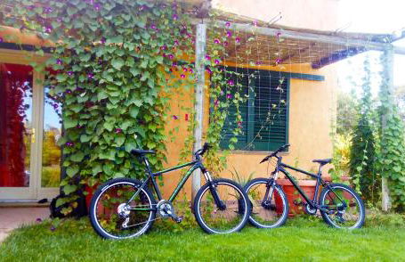 Kiteshomes - Foto 16