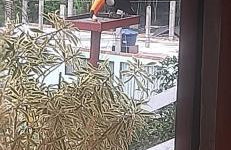 Casa de Campo em Teresópolis - Foto 6