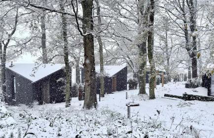 The Squirrel - Foto 17