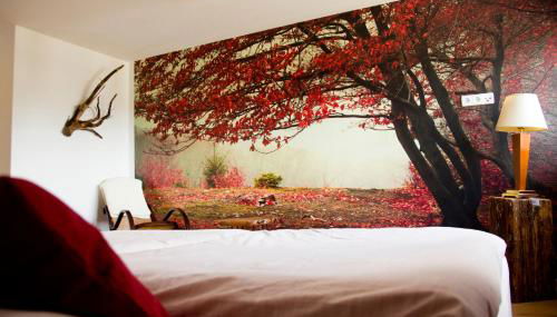 FeWo Skiheim - Foto 2