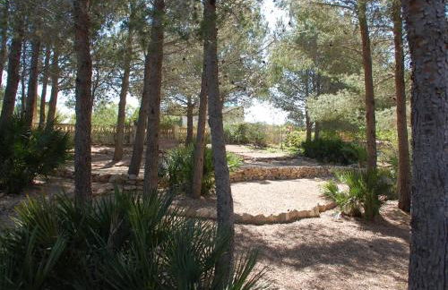 34 Sant Jordi - Foto 31