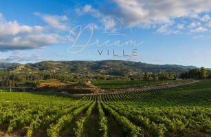 DreamVille - Casa da Tapada - Foto 34