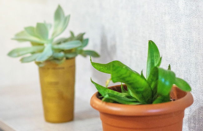 H&B apartments Qolga - Foto 43