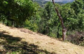 Los Prejones - Photo 10