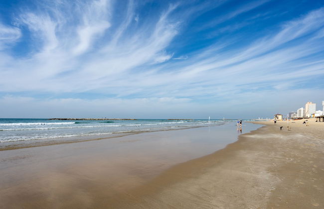 Mr. Promenade - By TLV2GO - Foto 76