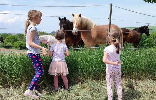 Pension Zelený grunt - Photo 34