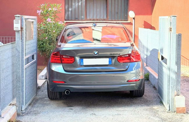 Cleo mimosa - Foto 23