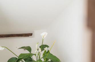 Ambiente & Comfort im historischen Anwesen - Foto 21