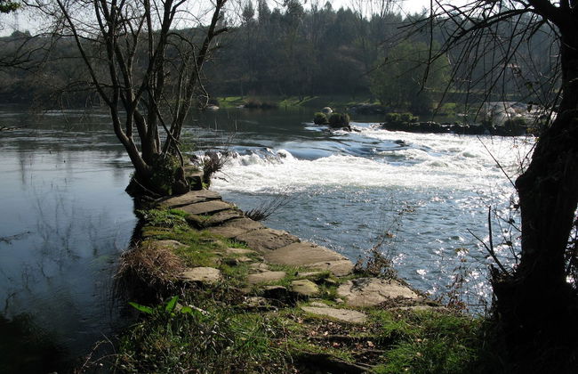 Solar das Bouças - Foto 29