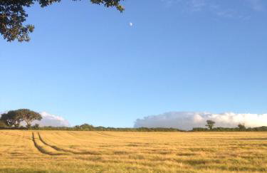 The Home Barn at Cornish Barn Holidays - Foto 45