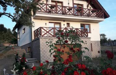 Pod Gruszą - Foto 17