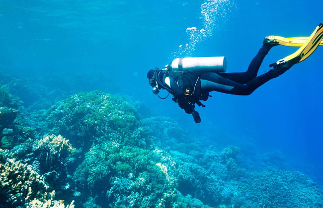 Plongée à Kallithea - Photo 4