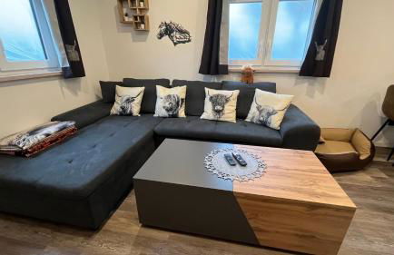 Ranchhouse Smoker- Westernstable - Horse - Foto 12