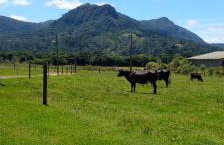 Chalé Recanto da Tiriva - Photo 4