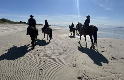 Gael Stary Rynek 1 - Foto 34