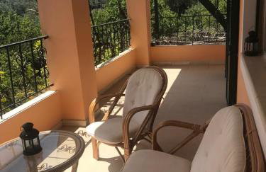 Capt Tassos Summer House in Dassia - Foto 18