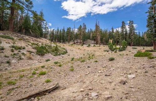 Bridges 210 - Foto 45