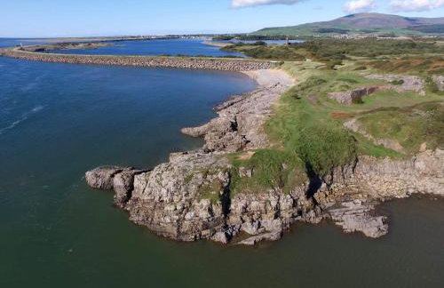 Herdwicks - Foto 136