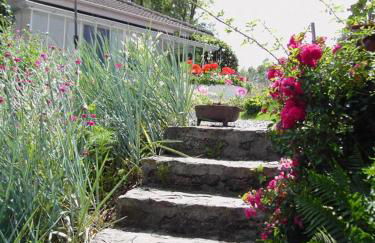 Dominant l'etang - Foto 19