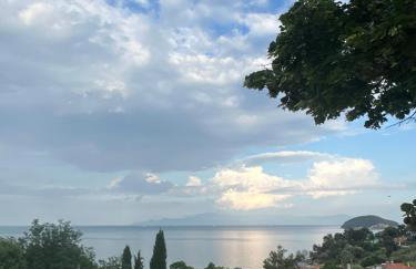 Olivia -Ελιά - Foto 19