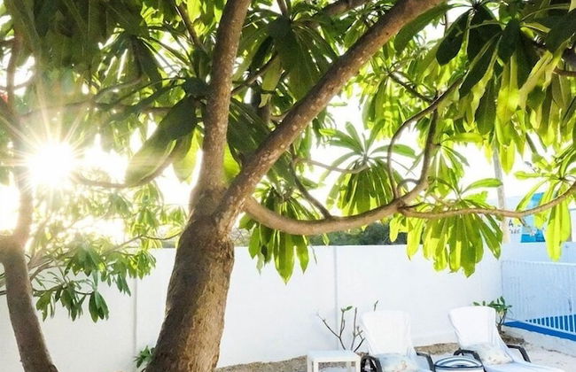 Ocean Front Property - Villa 3 Aruba with Hot Tub - Foto 22