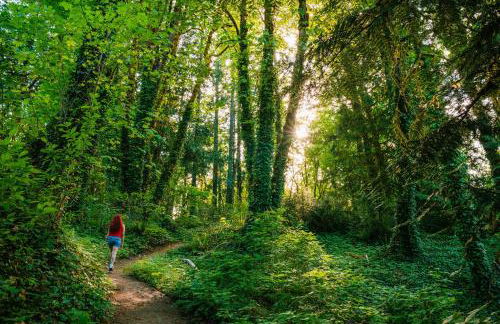 Purple City Retreats - Luxury Yurt & Spa - Foto 33