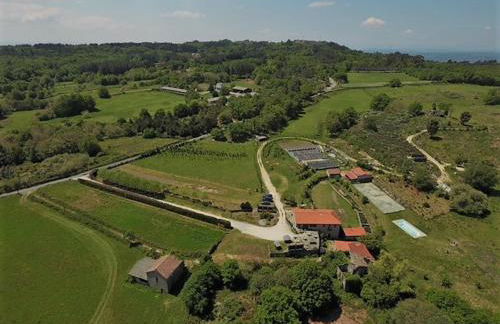 Caserio de Fontes - Foto 41