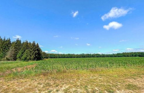 Ferienhaus Buddenhagen - Foto 16