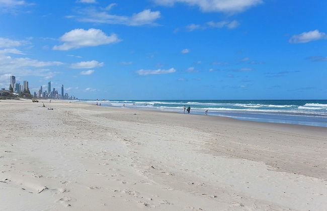 Surfsong on Miami Beach - Photo 40