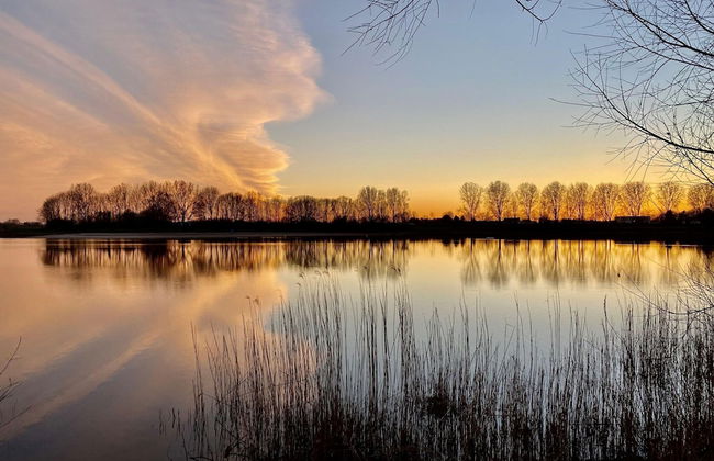 Nice Holiday Home With Terrace - Photo 26