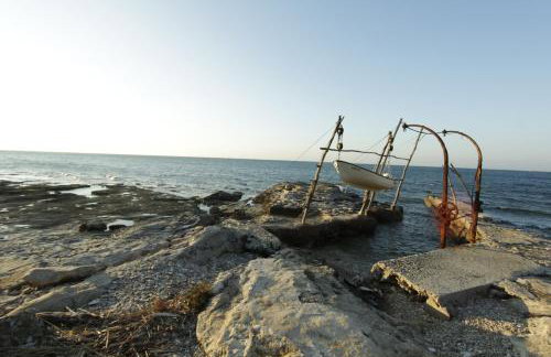 Put Maslina 7 - Foto 16