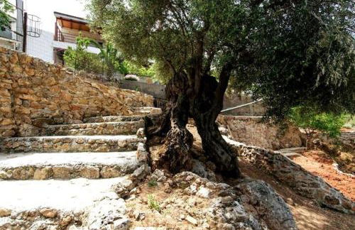 Aoria Traditional House With Stuning Mountain View - Foto 23