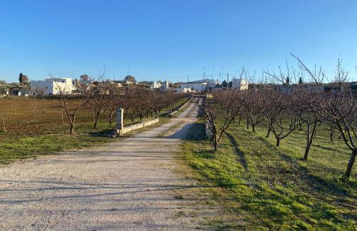 Trullo della Selva - Foto 22