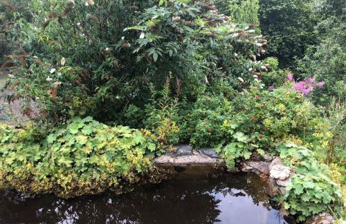 Bryn Melyn Farm Cottages - Foto 11