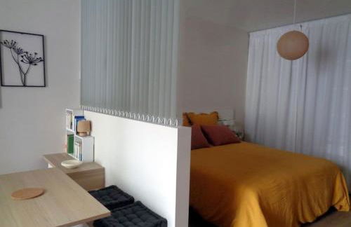 Appartement Hestia F1 bis + terrasse hyper centre - Foto 11