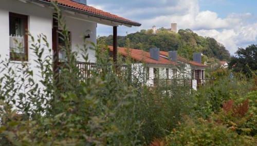 Ferienpark im schönen Falkenstein 4 - Foto 3