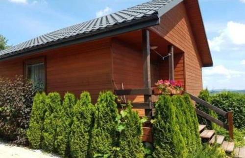 ,,KICZARA"Domki nad Jeziorem Solińskim w centrum Polańczyka60180--6454 - Photo 69