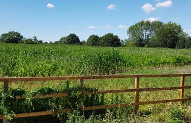 Rookery Lodge - Foto 14