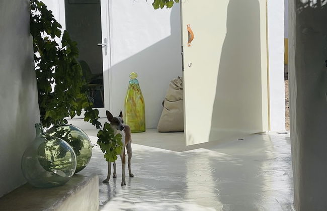 uma casa em entradas Guesthouse Alentejo - Foto 44