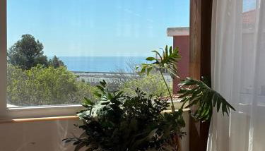 White House - Foto 2